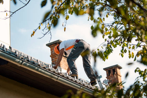 Best Storm Damage Roof Repair  in Lake Mathews, CA