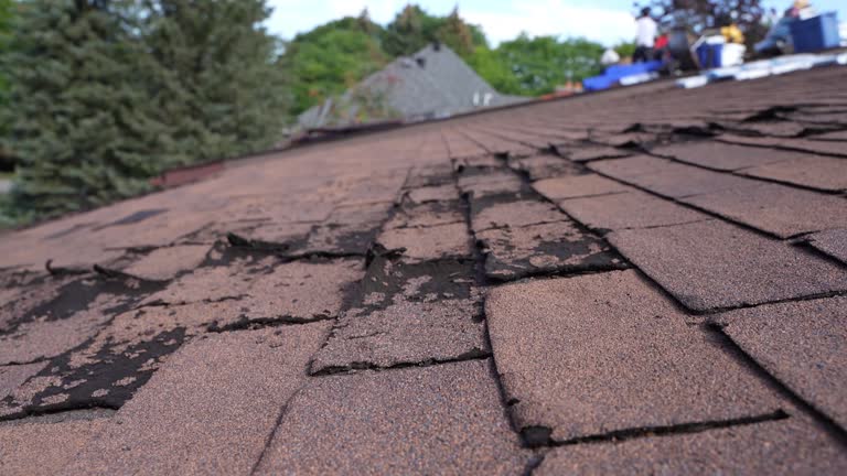 Fast & Reliable Emergency Roof Repairs in Lake Mathews, CA
