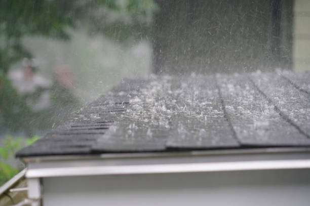 Best Skylight Installation and Repair  in Lake Mathews, CA