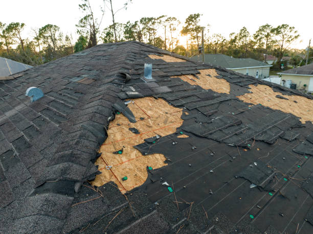 Best Rubber Roofing (EPDM, TPO)  in Lake Mathews, CA