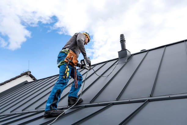 Best Chimney Flashing Repair  in Lake Mathews, CA