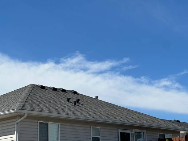 Best Roof Insulation Installation  in Lake Mathews, CA